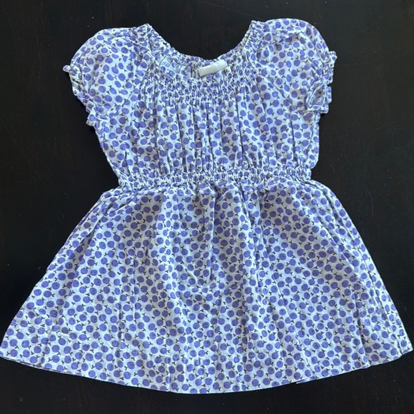 Mini Boden Other - Mini Boden Kids Casual Dress - Blueberries